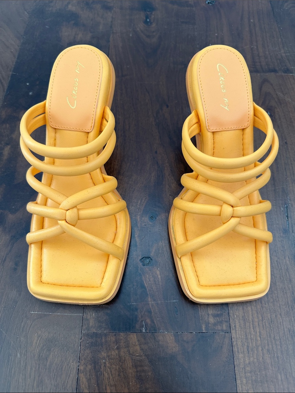 Sam Edelman Circus heeled sandals